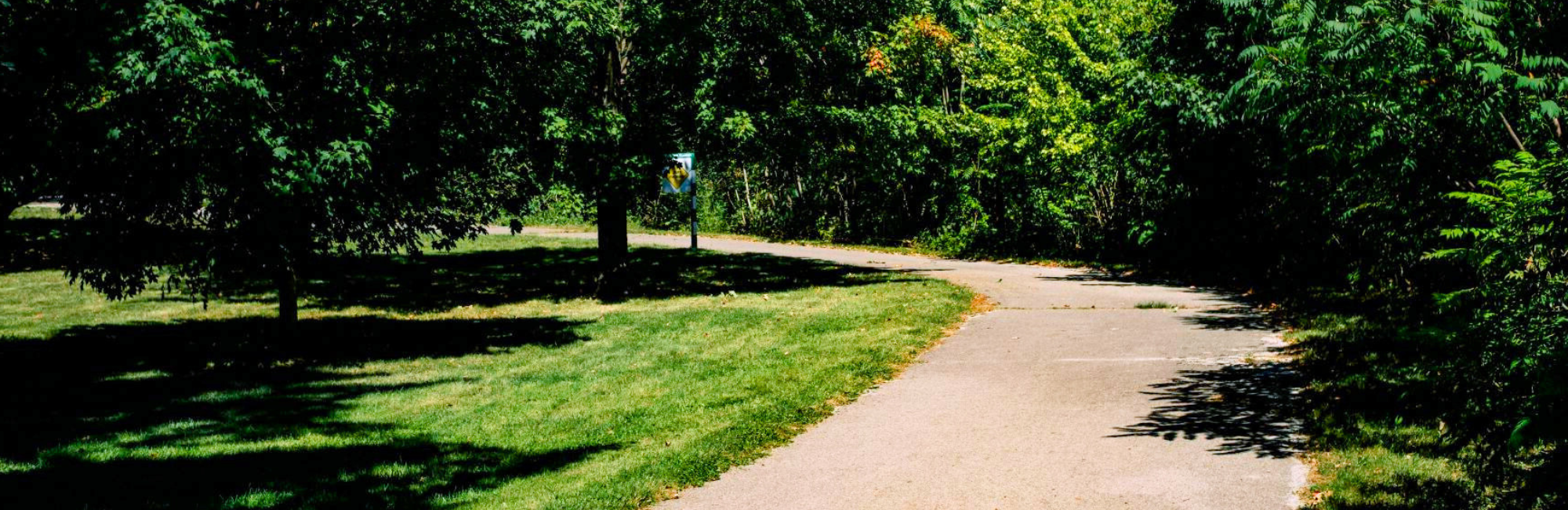 Park with a trail lined with trees