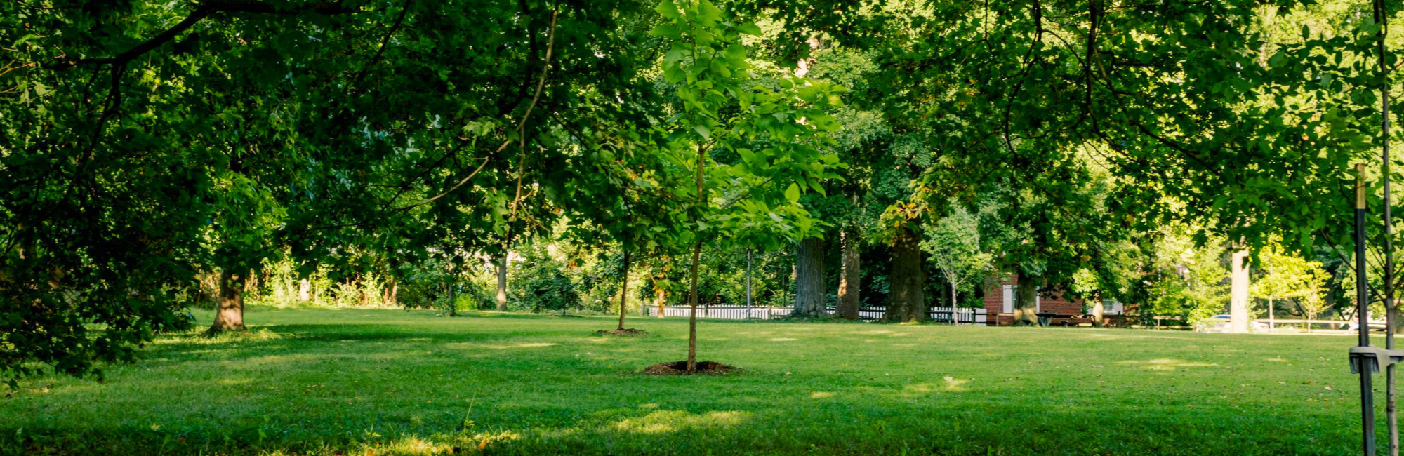 Green area in park with playground in distance