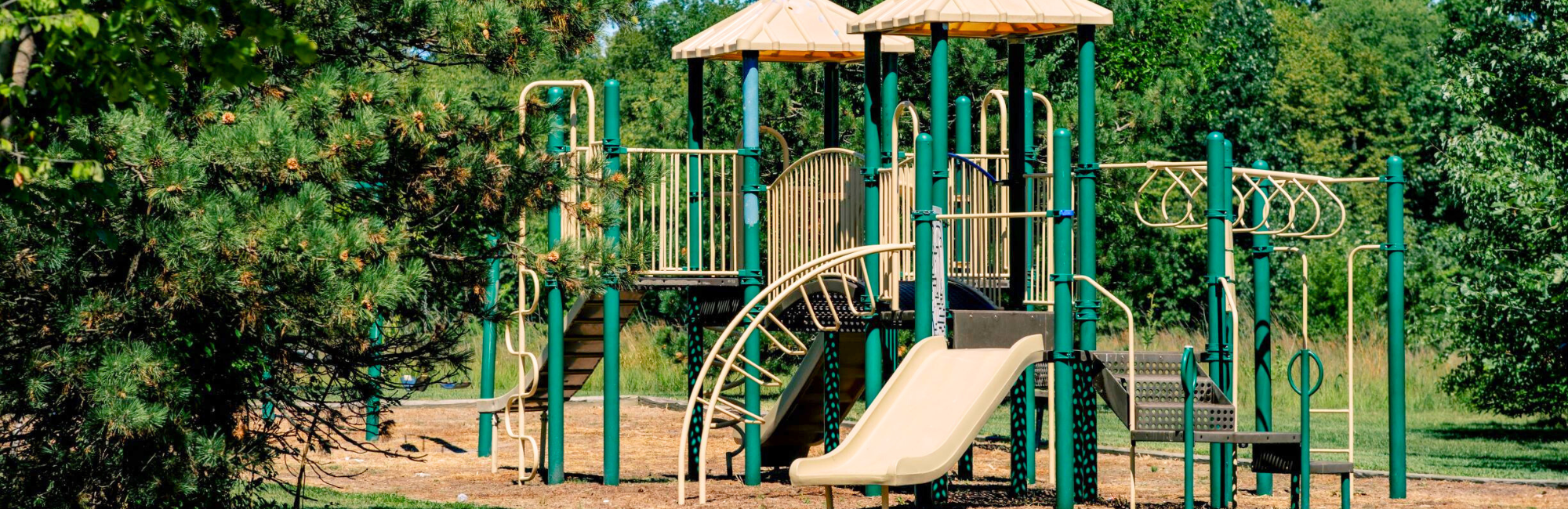 Photo of a playground with trees around it
