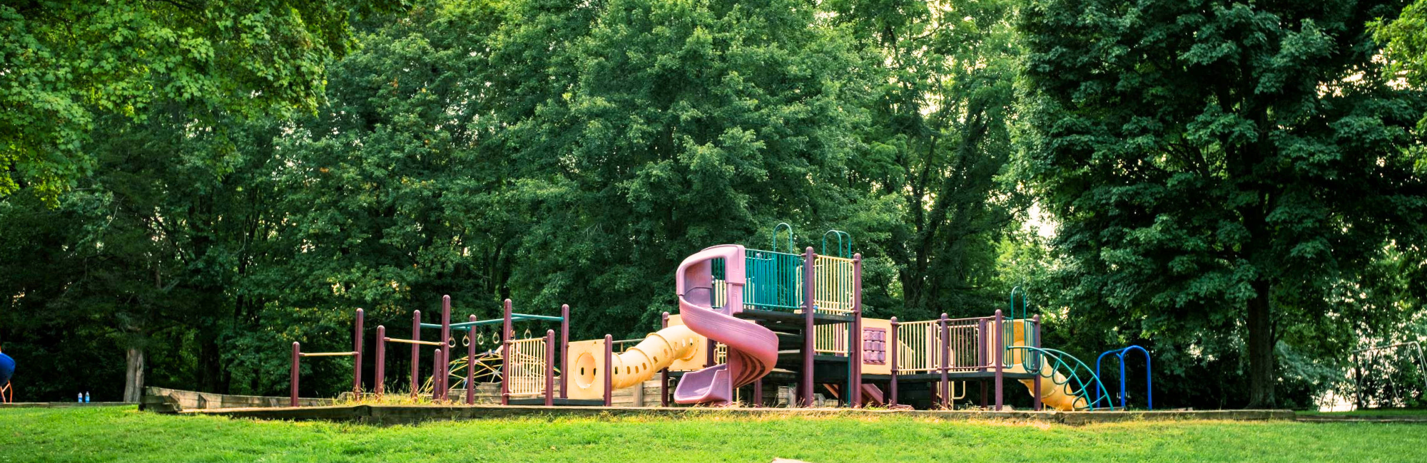 park with a playground, greenspace, and trees