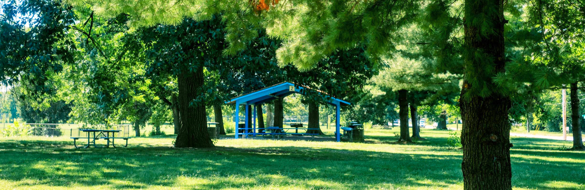 Park with large trees surrounding a picnic shelter