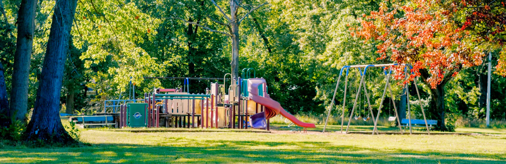 Park playground surrounded by colorful trees