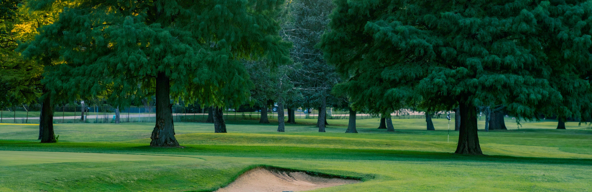 Thatcher Golf Course