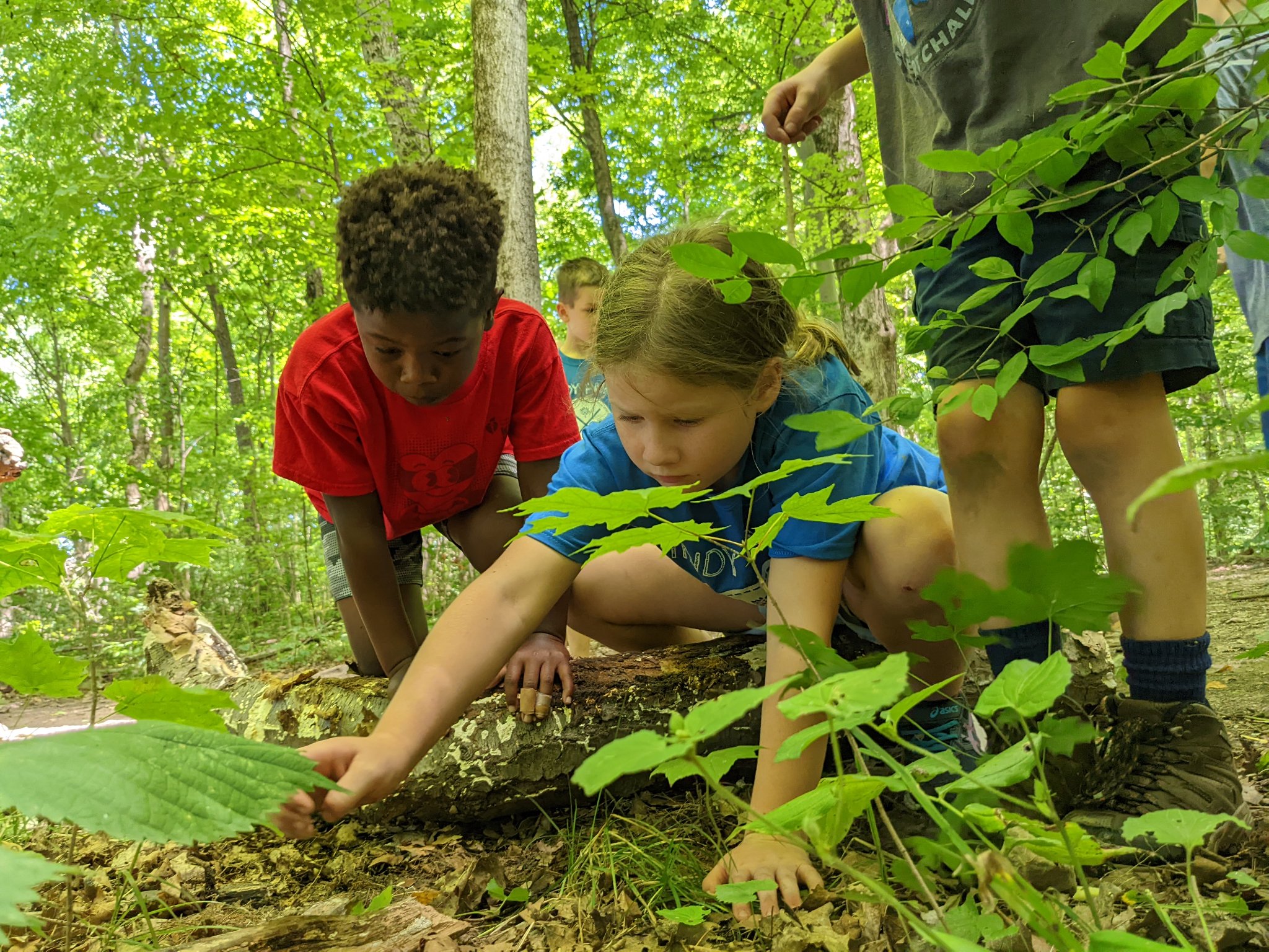 Indy Parks Summer Day Camps Indy Parks & Recreation